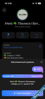 IMG_3900.PNG IMG_3900.PNG