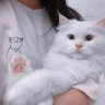 Ирина Короткевич