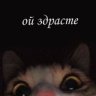 Денис Киров