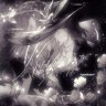 𝒥 ㅤ 𝐾𝑎𝑜𝑟𝑖 ㅤ 白 𓂃
