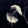 Silver_Raven