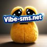 vibe_sms1
