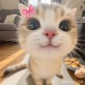 Булочка с корицей