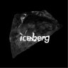 Iceberg