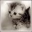 Екатерина Фомичёва