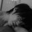 virexMJ